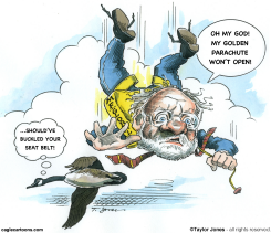 THE FALL OF CORZINE  by Taylor Jones