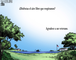 AGRADECE A UN VETERANO  by Daryl Cagle