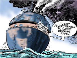 CAPS FOR CLIMATE by Paresh Nath