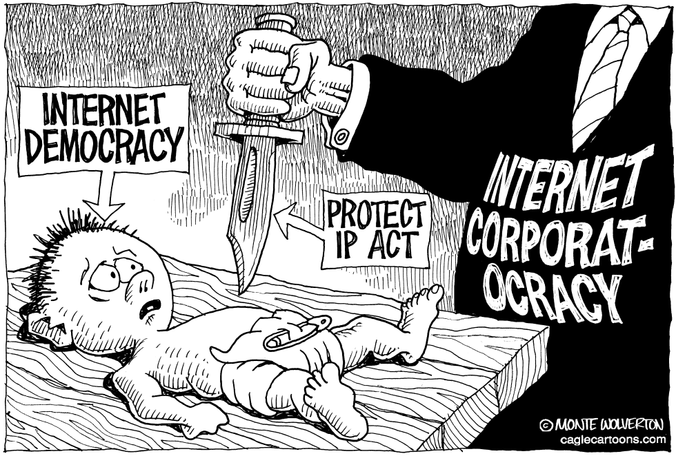  DEATH OF INTERNET DEMOCRACY by Wolverton