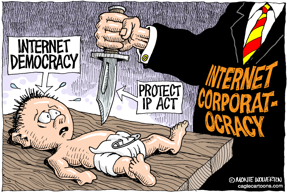  DEATH OF INTERNET DEMOCRACY  by Wolverton