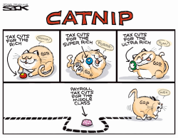 CATNIP by Steve Sack