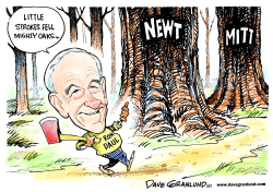 RON PAUL GOP CHANCES by Dave Granlund