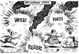 BATTLEGROUND STATES by Mike Lane