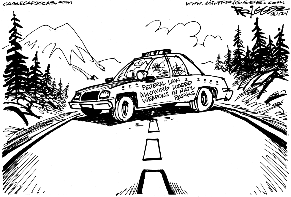  MT RAINIER COLLATERAL DAMAGE by Milt Priggee