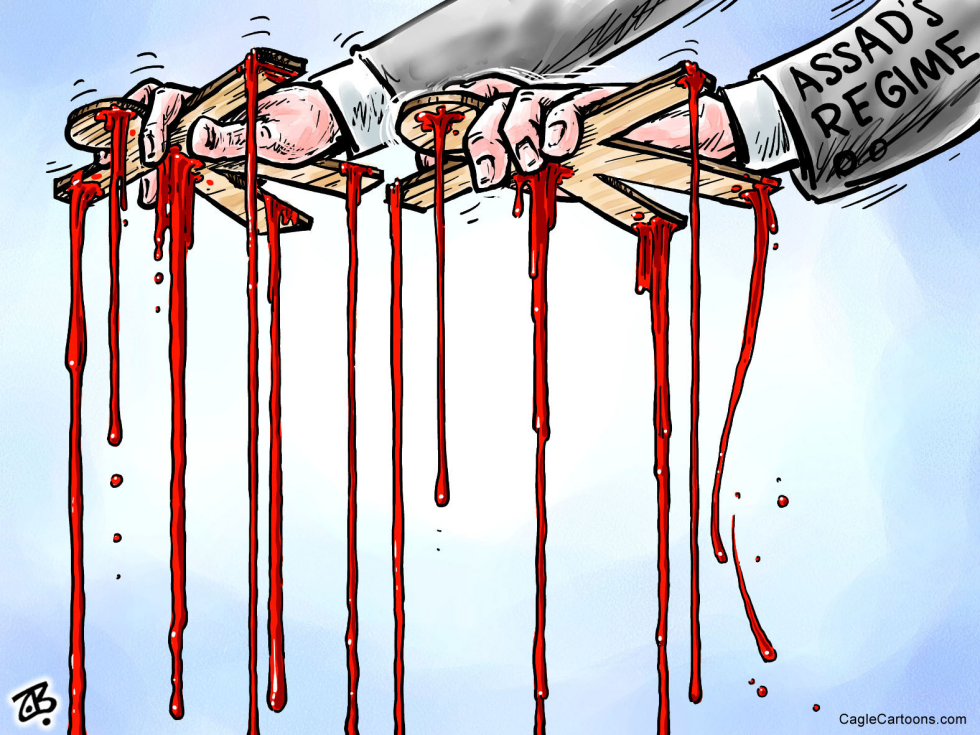  EGYPT ISLAMIST WIN  by Emad Hajjaj