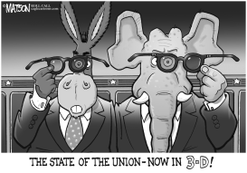 THE STATE OF THE UNION NOW IN 3-D by RJ Matson