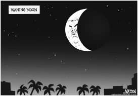 WANING MOON GINGRICH by RJ Matson