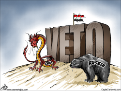 VETO by Osama Hajjaj