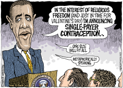 SINGLE-PAYER CONTRACEPTION by Wolverton