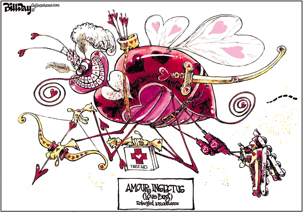  AMOUR INSECTUS LOVE BUG by Bill Day