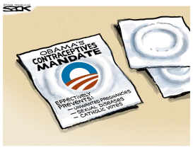 CONTRACEPTIVE MANDATE by Steve Sack