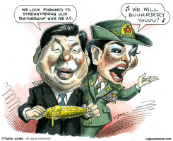 XI JINPING AND WIFE PENG LIYUAN  by Taylor Jones