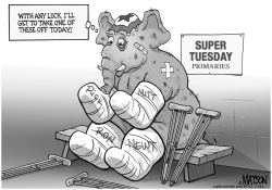 SUPER TUESDAY WISH by RJ Matson