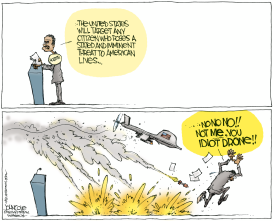 HOLDER ON KILLING US CITIZENS by John Cole