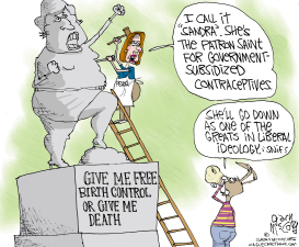 FLUKE FOR SUBSIDIZED CONTRACEPTIVES by Gary McCoy