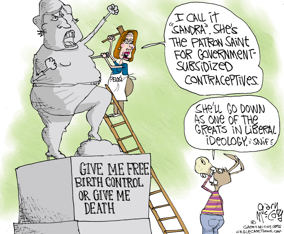  FLUKE FOR SUBSIDIZED CONTRACEPTIVES by Gary McCoy