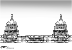 DIVIDED CONGRESS HAS TWO CAPITOLS by RJ Matson