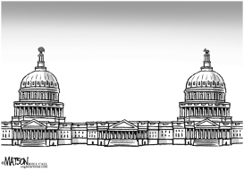 DIVIDED CONGRESS HAS TWO CAPITOLS by RJ Matson