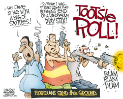 FLORIDA GUN LAW by John Cole