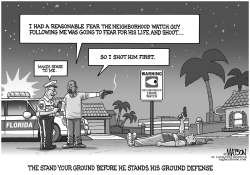 THE STAND YOUR GROUND BEFORE HE STANDS HIS GROUND DEFENSE by RJ Matson