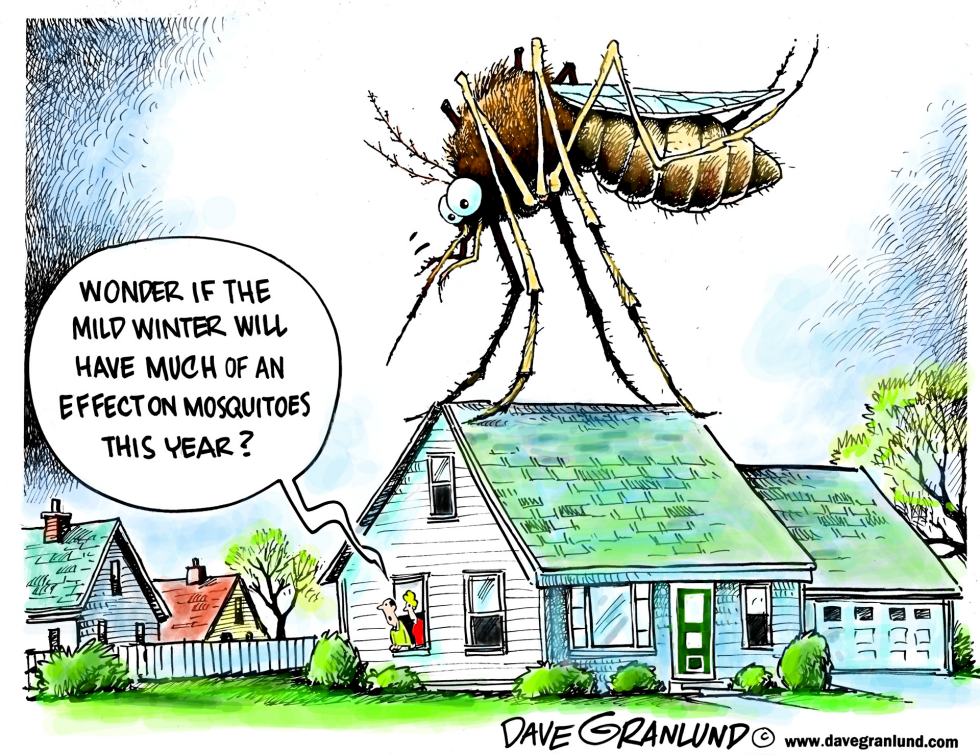  MILD WEATHER AND BUGS by Dave Granlund