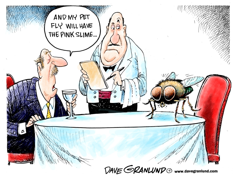  PINK SLIME CONTROVERSY by Dave Granlund