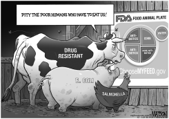 FDA CHOOSE MY FEED FOOD PLATE FOR FOOD ANIMALS by RJ Matson