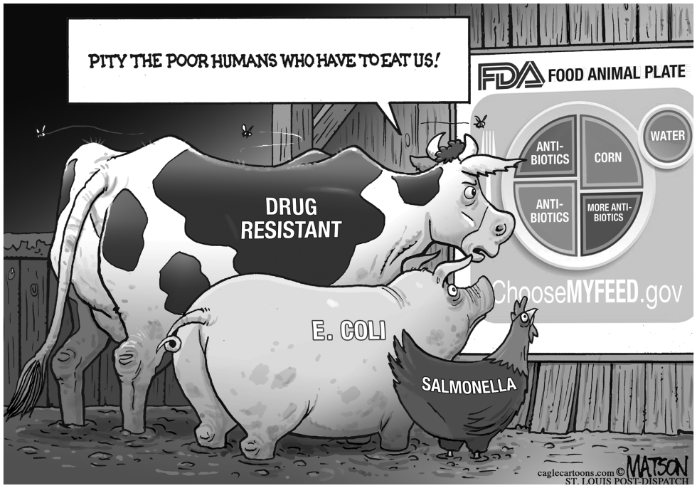  FDA CHOOSE MY FEED FOOD PLATE FOR FOOD ANIMALS by RJ Matson