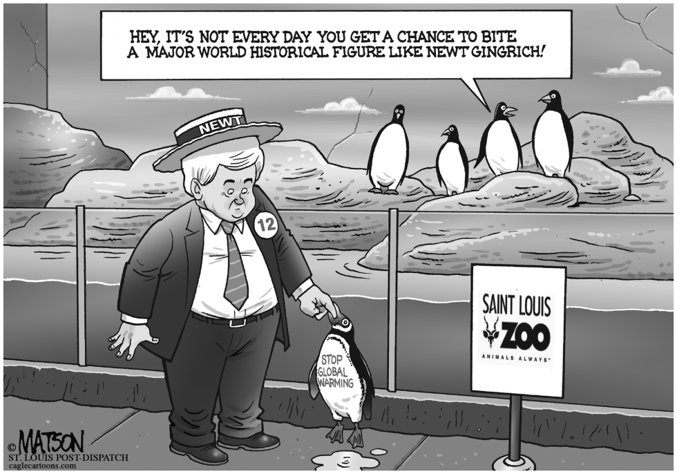  PENGUIN BITES NEWT GINGRICH by RJ Matson