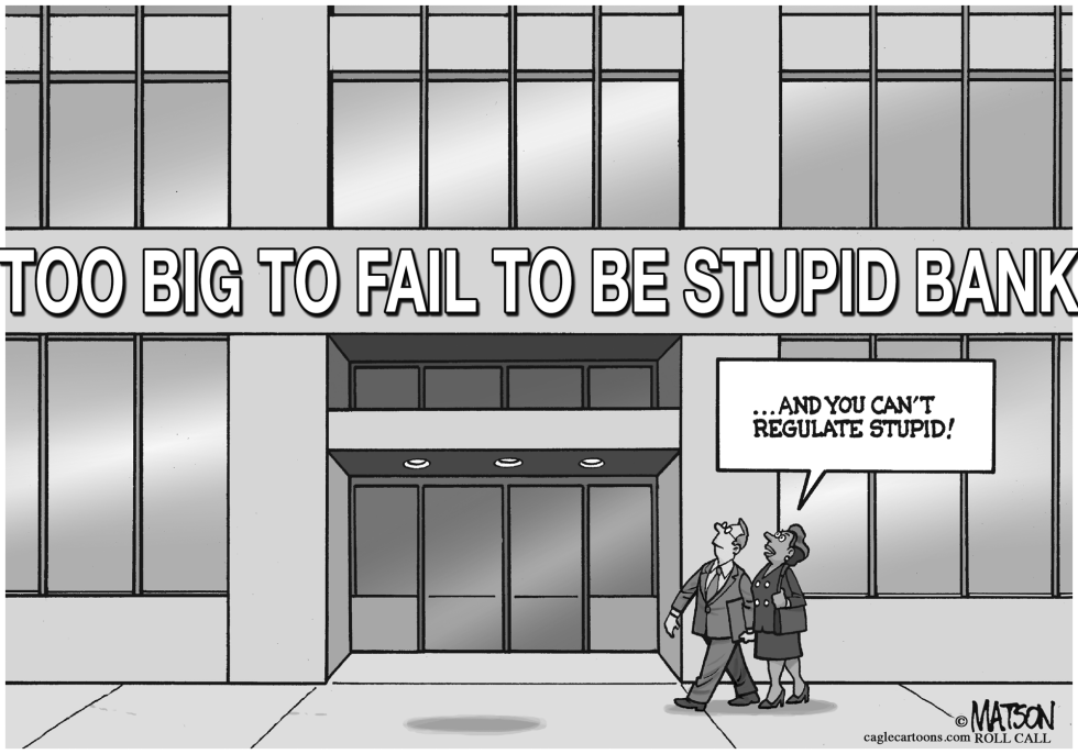  TOO BIG TO FAIL TO BE STUPID BANK by RJ Matson