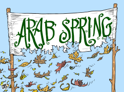 ARAB SPRING  by Emad Hajjaj