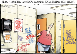 LOCAL OH - REST AREA ADS by Nate Beeler