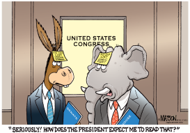 DO-NOTHING CONGRESS by RJ Matson