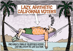 LOCAL-CA CALIFORNIA VOTER APATHY by Wolverton