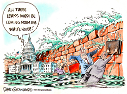 WASHINGTON LEAKS by Dave Granlund