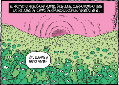 PROYECTO MICROBIOMA HUMANO by Bob Englehart