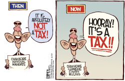 OBAMACARE TAX by Rick McKee