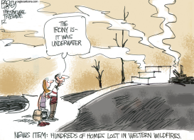 TWICE BURNED by Pat Bagley