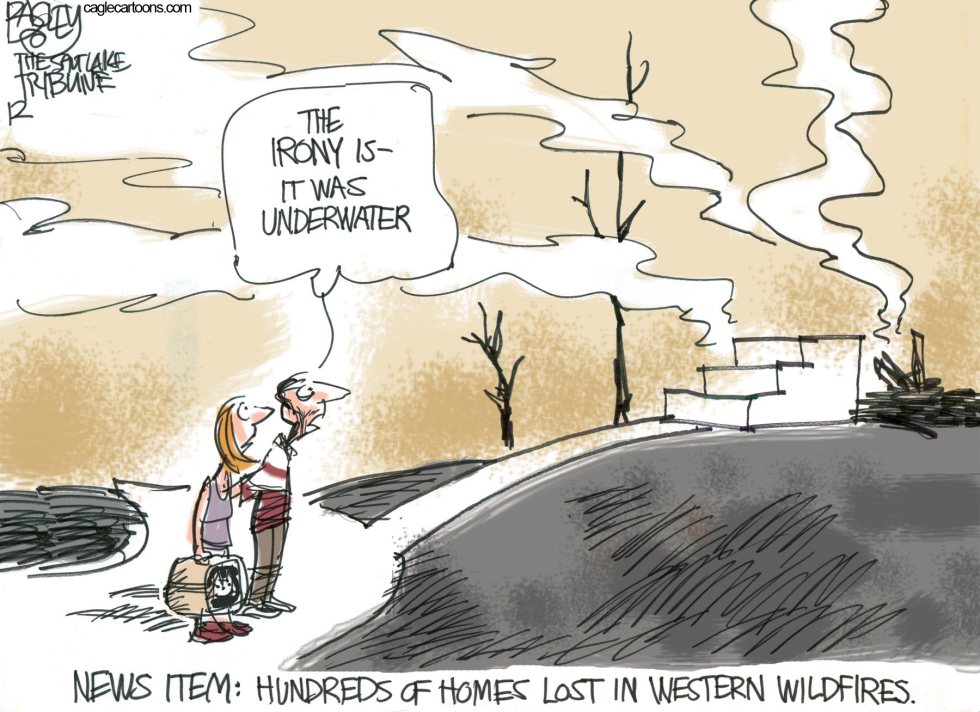  TWICE BURNED by Pat Bagley