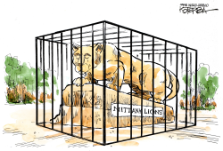 CAGED TIGER by Jeff Koterba