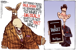 RYAN'S BUDGET by Rick McKee