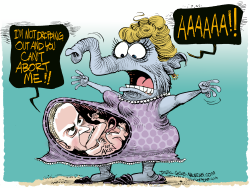 REP AKIN AND ABORTION by Daryl Cagle