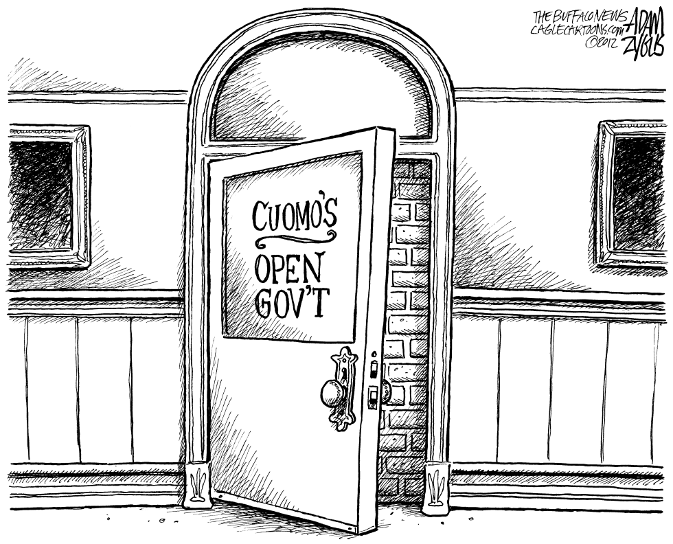  NY STATE OPEN GOVERNMENT by Adam Zyglis