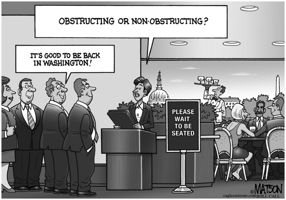  WASHINGTON POWER LUNCH by RJ Matson