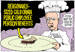 LOCAL-CA CALIF PENSION REFORM by Wolverton