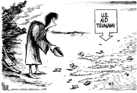 US AID TSUNAMI by Mike Lane