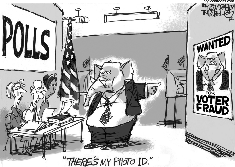  REAL VOTE FRAUD by Pat Bagley