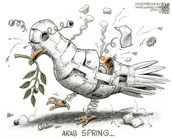 ARAB SPRING  by Adam Zyglis