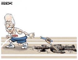 BIDENS BATON by Steve Sack